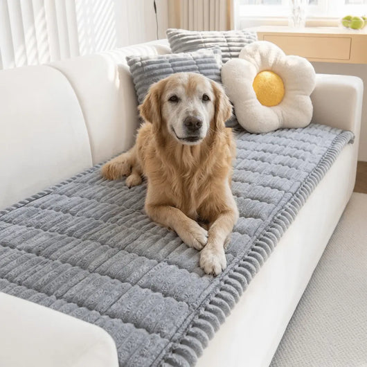 CloudPaw™ Orthopedic Pet Lounge