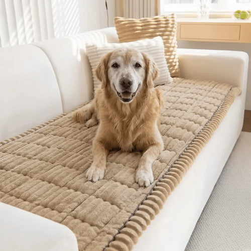 CloudPaw™ Orthopedic Pet Lounge