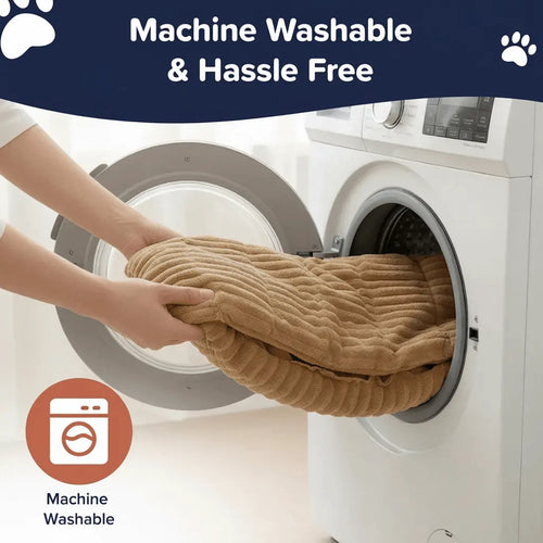 CloudPaw™ Orthopedic Pet Lounge
