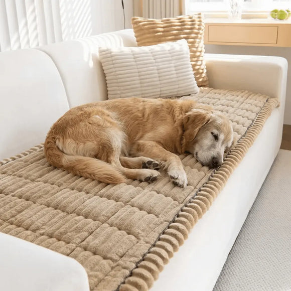 Feature product image